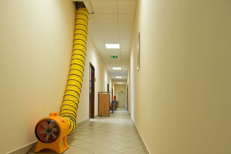 Professional blower Master BL 6800 - Image 2